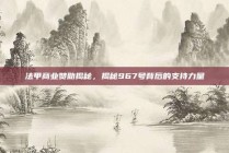 法甲商业赞助揭秘，揭秘967号背后的支持力量