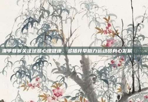 澳甲联赛关注球员心理健康，多措并举助力运动员身心发展 💬  第1张