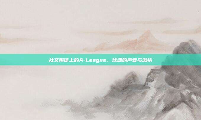 社交媒体上的A-League，球迷的声音与激情  第1张