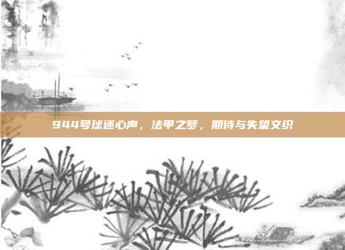 944号球迷心声，法甲之梦，期待与失望交织  第1张