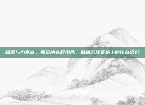 穆雷与约基奇，掘金的夺冠组合，揭秘篮球赛场上的传奇搭档  第1张