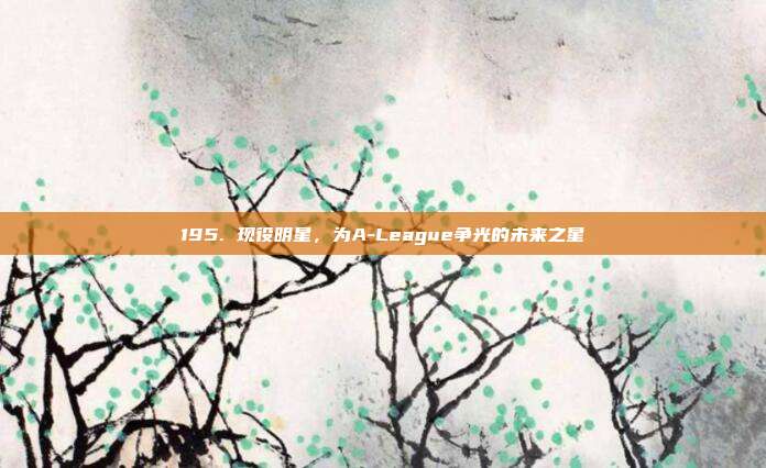 195. 现役明星，为A-League争光的未来之星  第1张