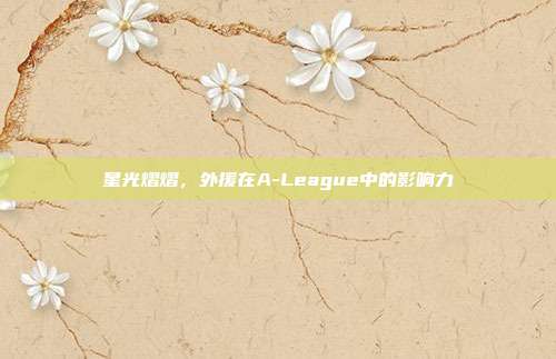 星光熠熠，外援在A-League中的影响力  第1张