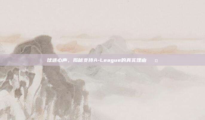 球迷心声，揭秘支持A-League的真实理由🎤  第1张