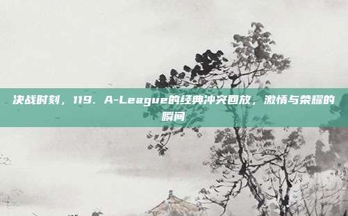 决战时刻，119. A-League的经典冲突回放，激情与荣耀的瞬间  第1张