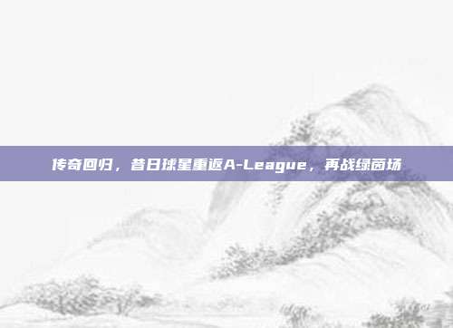 传奇回归，昔日球星重返A-League，再战绿茵场  第1张