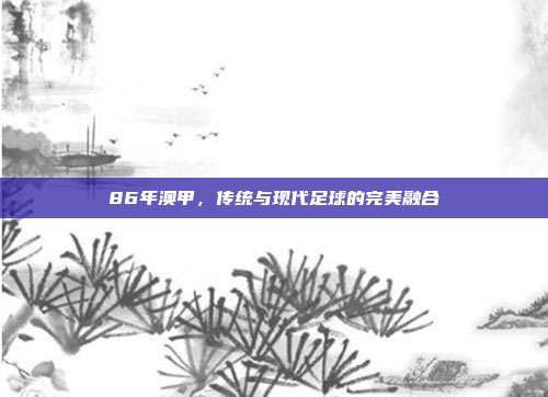 86年澳甲，传统与现代足球的完美融合  第1张