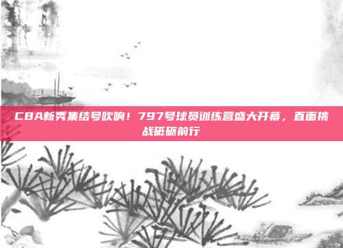 CBA新秀集结号吹响！797号球员训练营盛大开幕，直面挑战砥砺前行  第1张