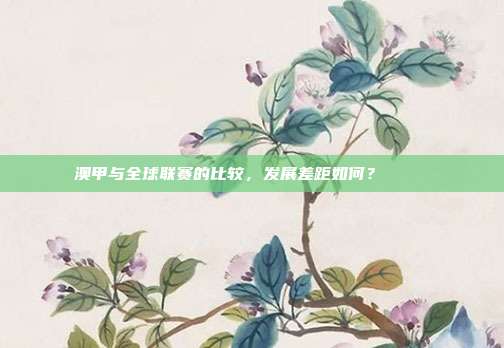 澳甲与全球联赛的比较，发展差距如何？🌍✍️  第1张